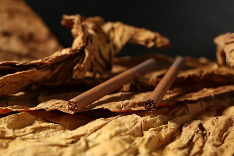 dried-tobacco-leaves-cigarettes-dark-background-closeup